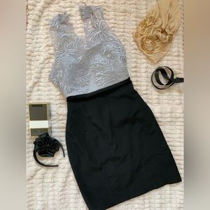 Illusion Business Dress